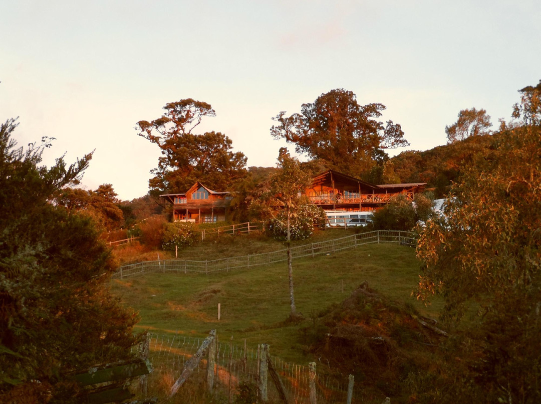 San Isidro del General旅游攻略图片