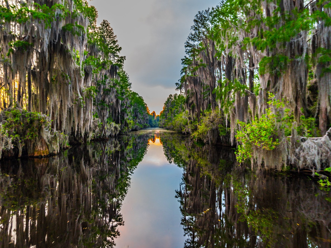 Folkston餐馆和美食-Okefenokee Adventures Restaurant