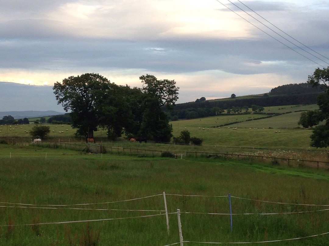 Doddington酒店住宿-Flodden Edge Farm B&B
