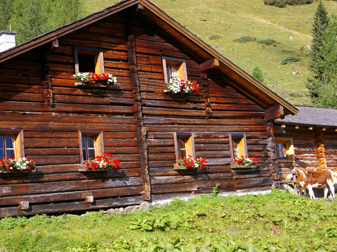 Huttschlag餐馆和美食-Hirschgrubenalm