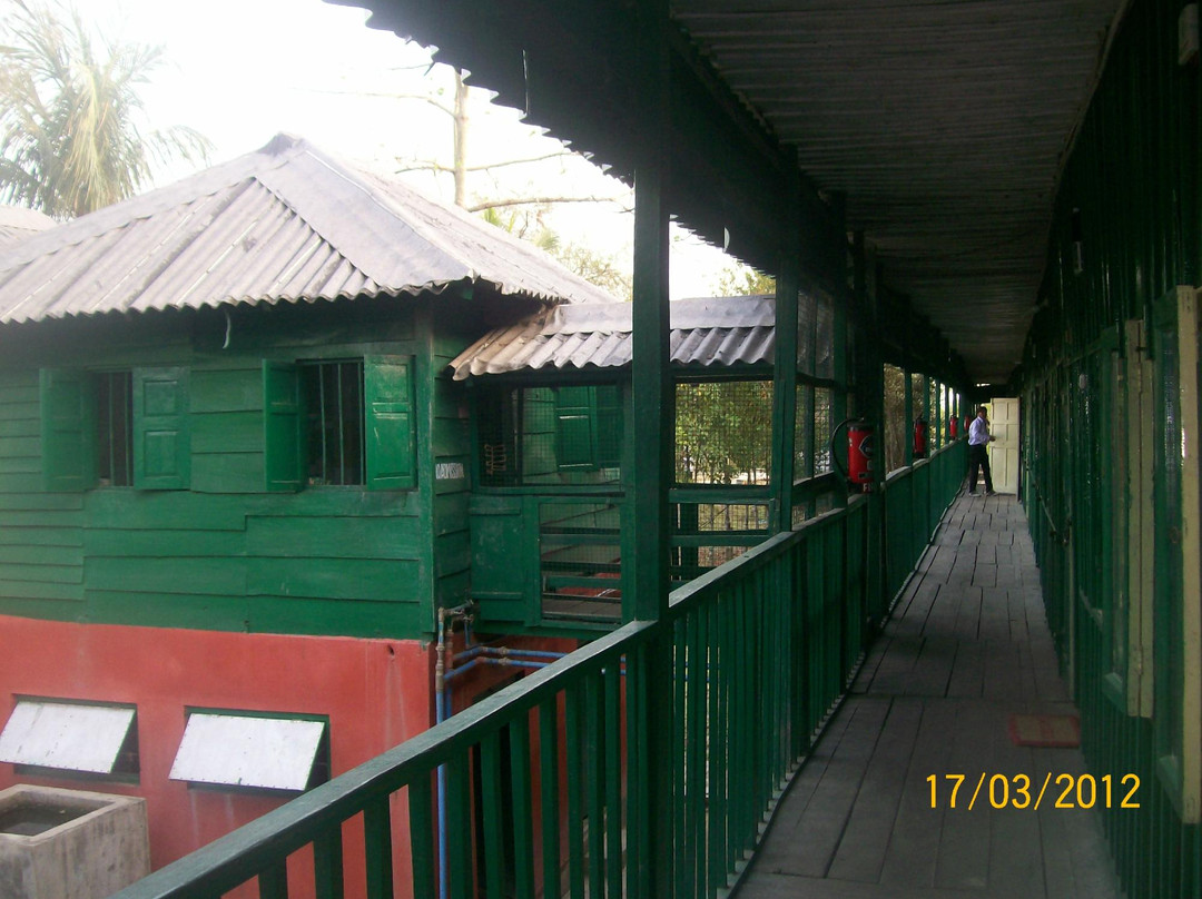 Sunder Cheetal Forest Lodge