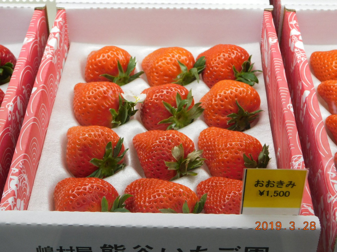 Shimamuraya Kumagaya Strawberry Farm-熊谷市必去景点
