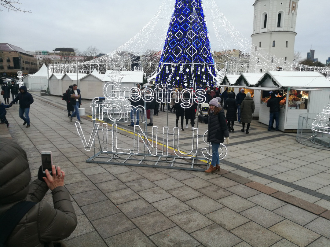 Vilnius Cathedral Square景点图片