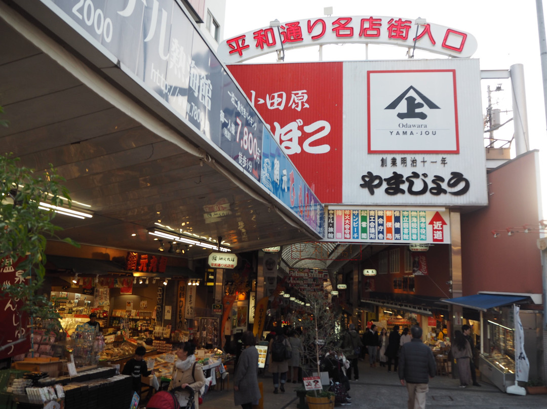 Atami Station Ekimae Heiwa Shopping Street景点图片