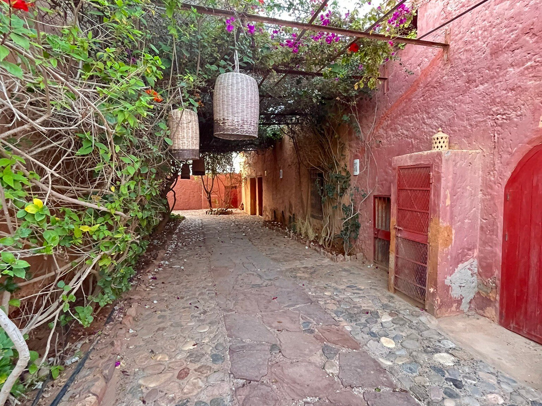 Les 3 Chameaux主图