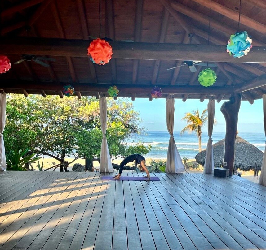 Present Moment Retreat主图