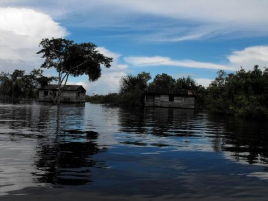 Amazon River景点图片