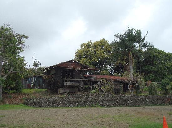 格林威尔农场-基亚拉凯库亚必去景点
