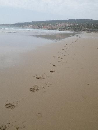 Surf Photographerbtaghazout Beach-阿加迪尔必去景点