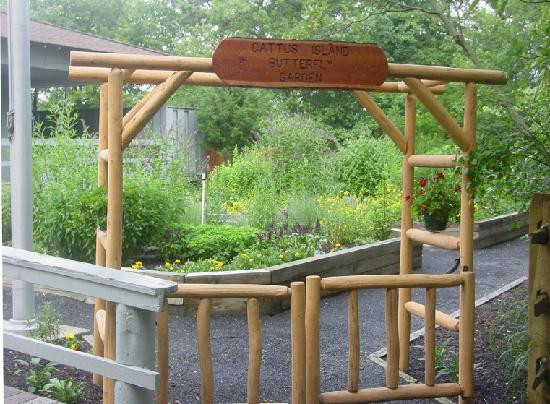Cattus Island County Park景点图片