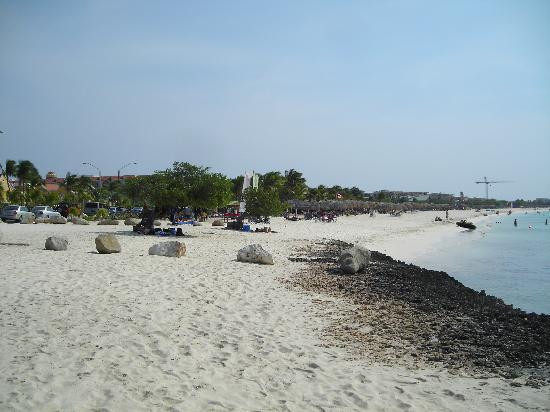 Eagle Beach-棕榈/鹰海滩必去景点