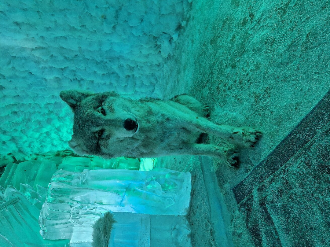 Kingdom of Permafrost景点图片
