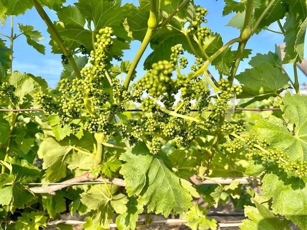 古德慕德江山旅馆主图