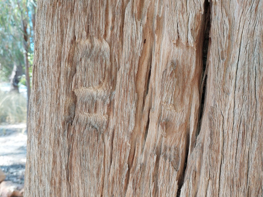 One Ton Post-Mungindi必去景点