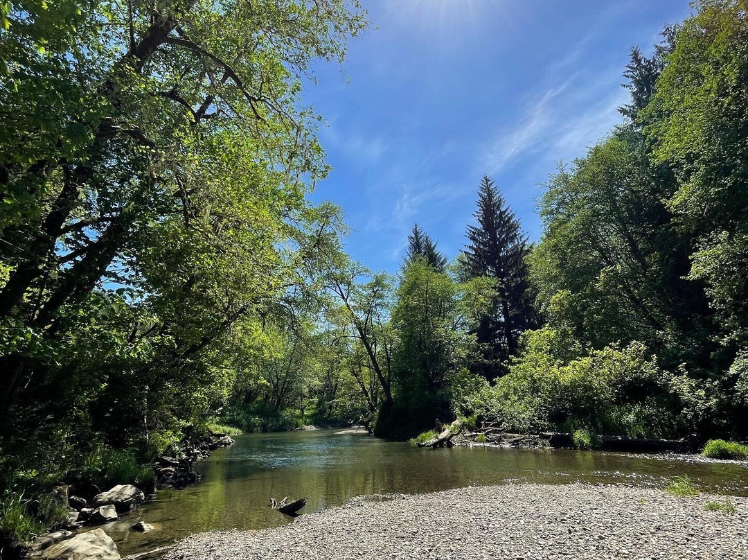 Hoko River State Park景点图片