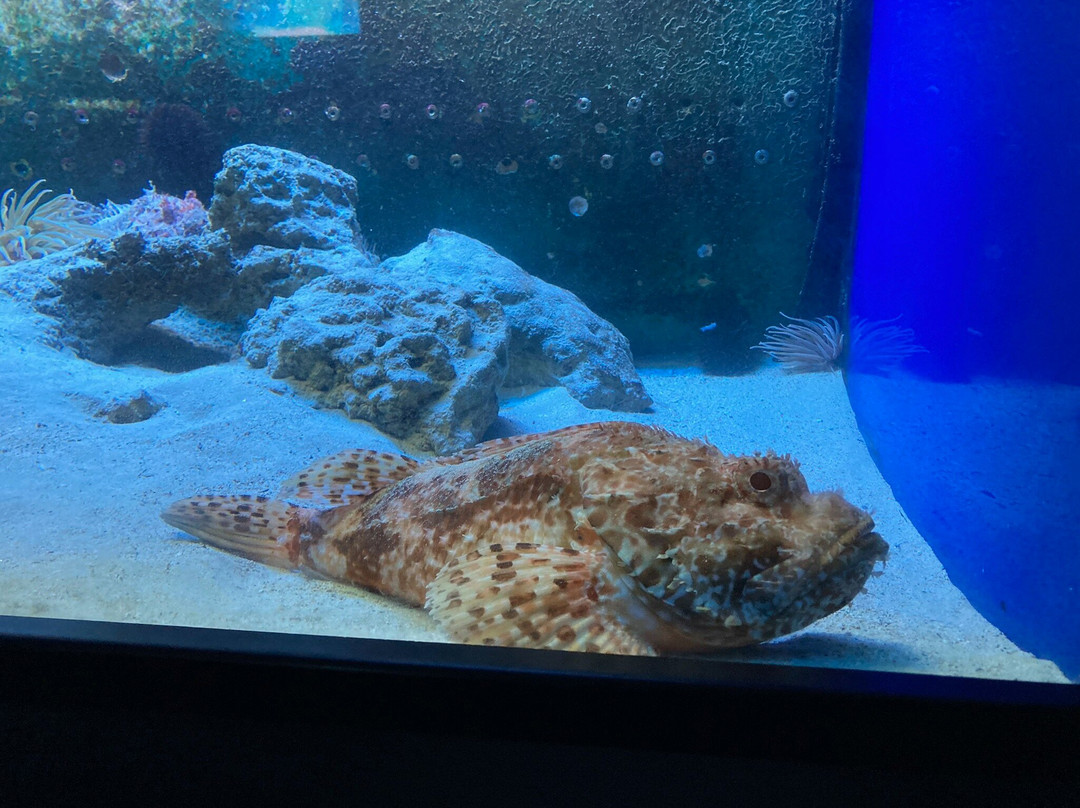 Acquario Del Salento-Santa Maria al Bagno必去景点
