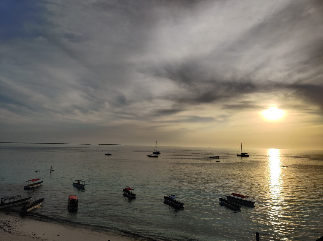 Midovic Tour Guide-桑给巴尔市必去景点