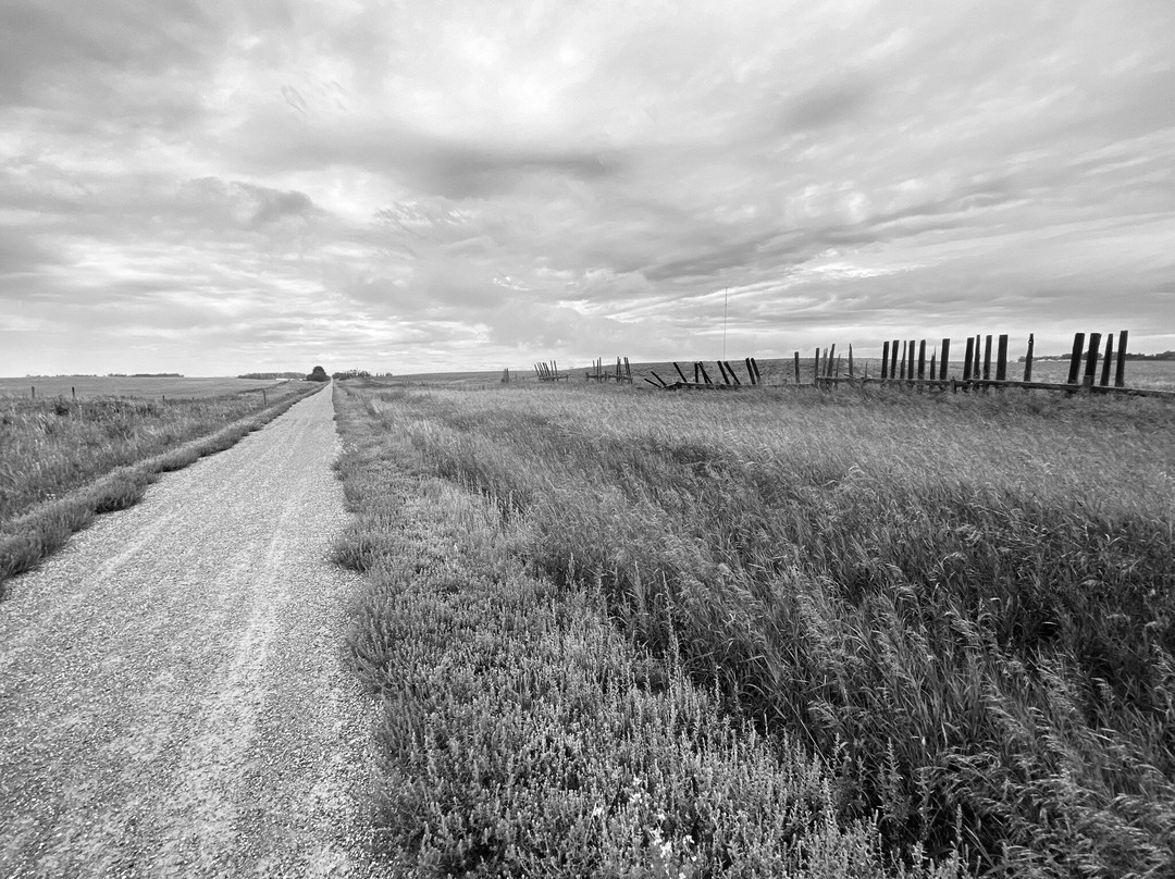 The Meadowlark Trail-Beiseker必去景点