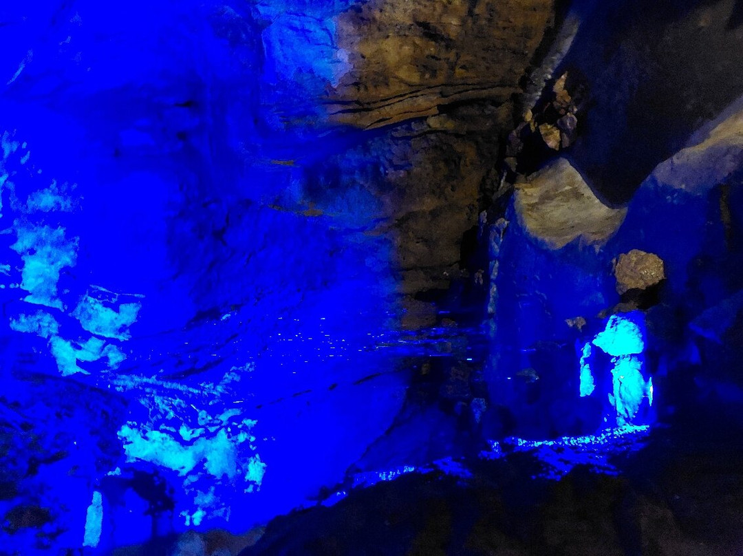 Grotte des Carbonnieres-Lacave必去景点