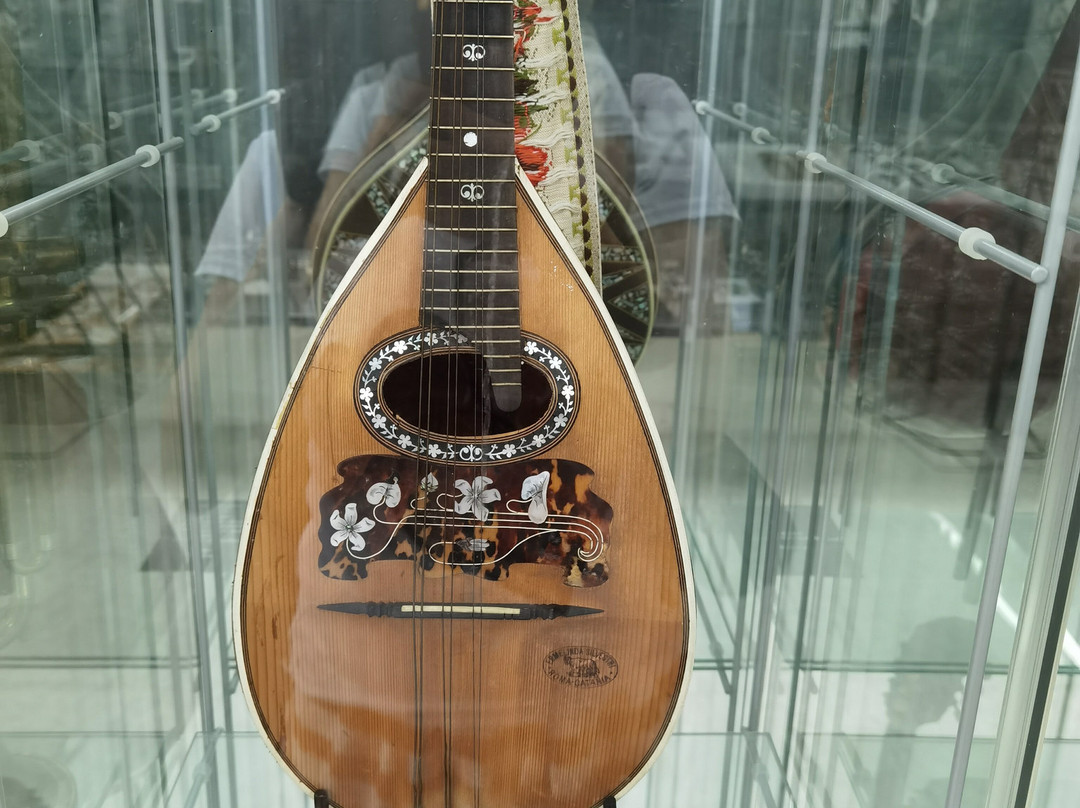 Malacological Museum Piceno景点图片