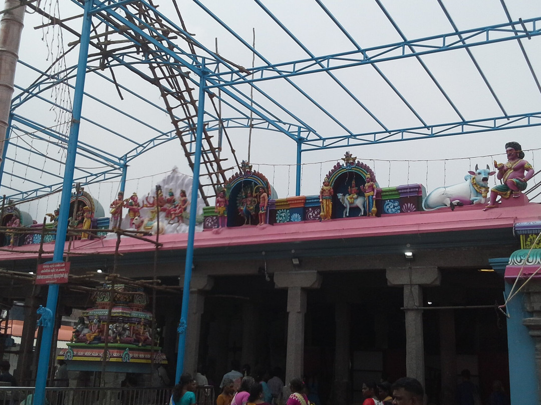 Sri Nageswarar temple-金奈（马德拉斯）必去景点