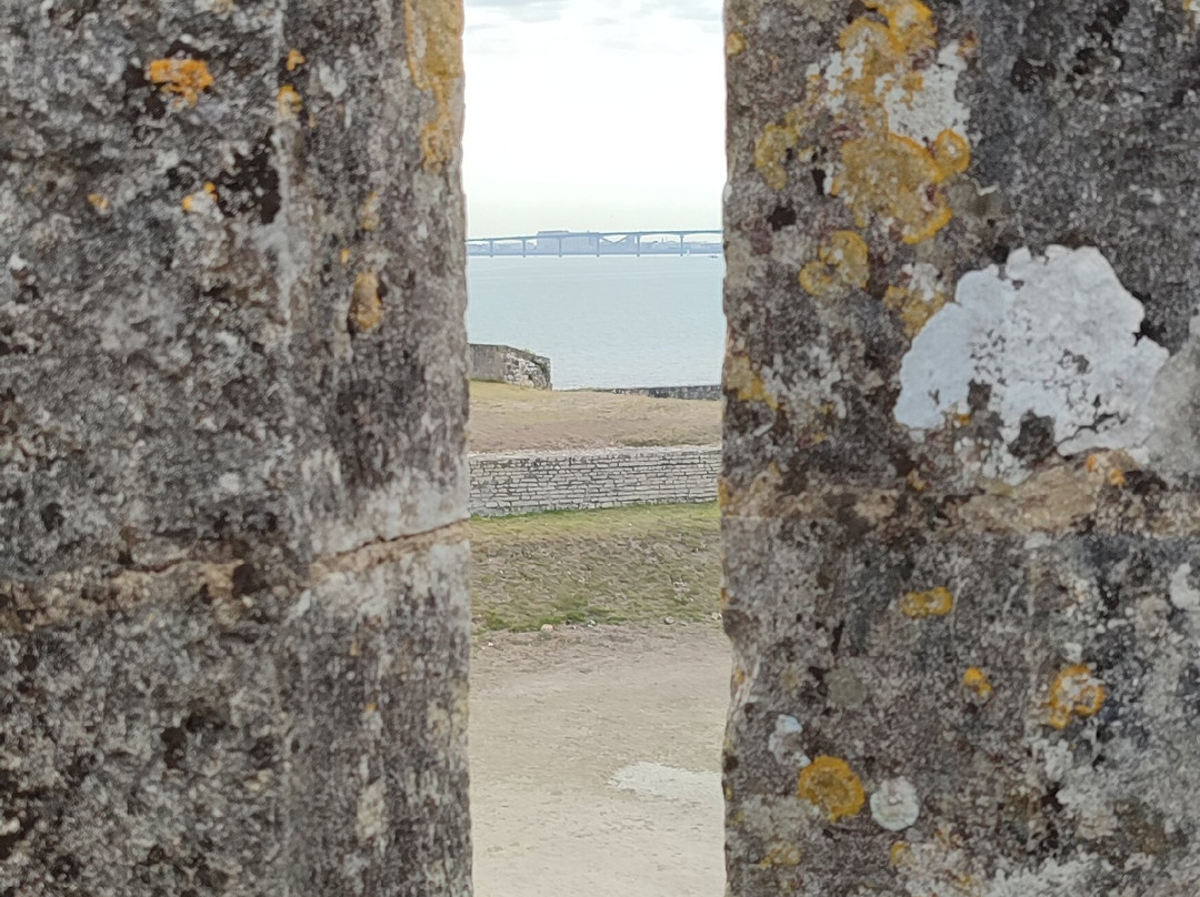Fort la Prée景点图片