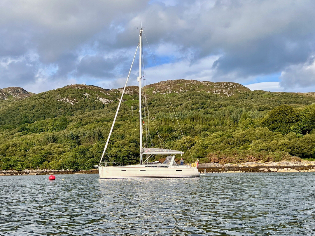 Flamingo Yacht Charters景点图片