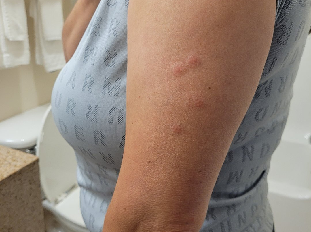 Holiday Inn Express & Suites Edmond by IHG主图