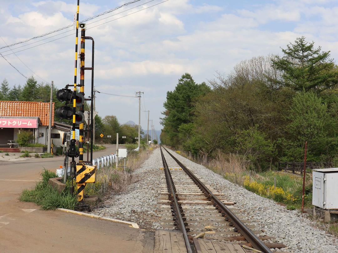 JR Railways Highest Point Stone Monument-南牧村必去景点