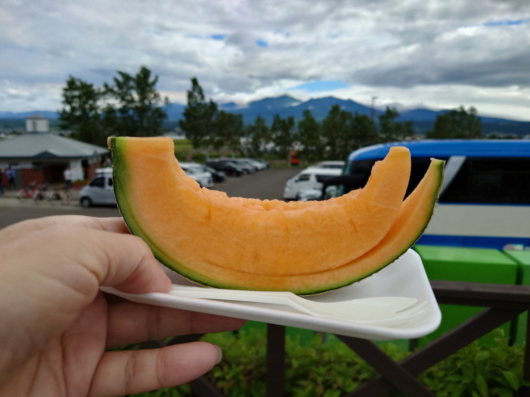 富田哈密瓜坊-中富良野町必去景点