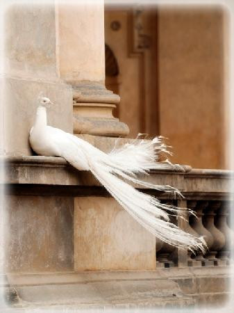 PragueWalker-布拉格必去景点