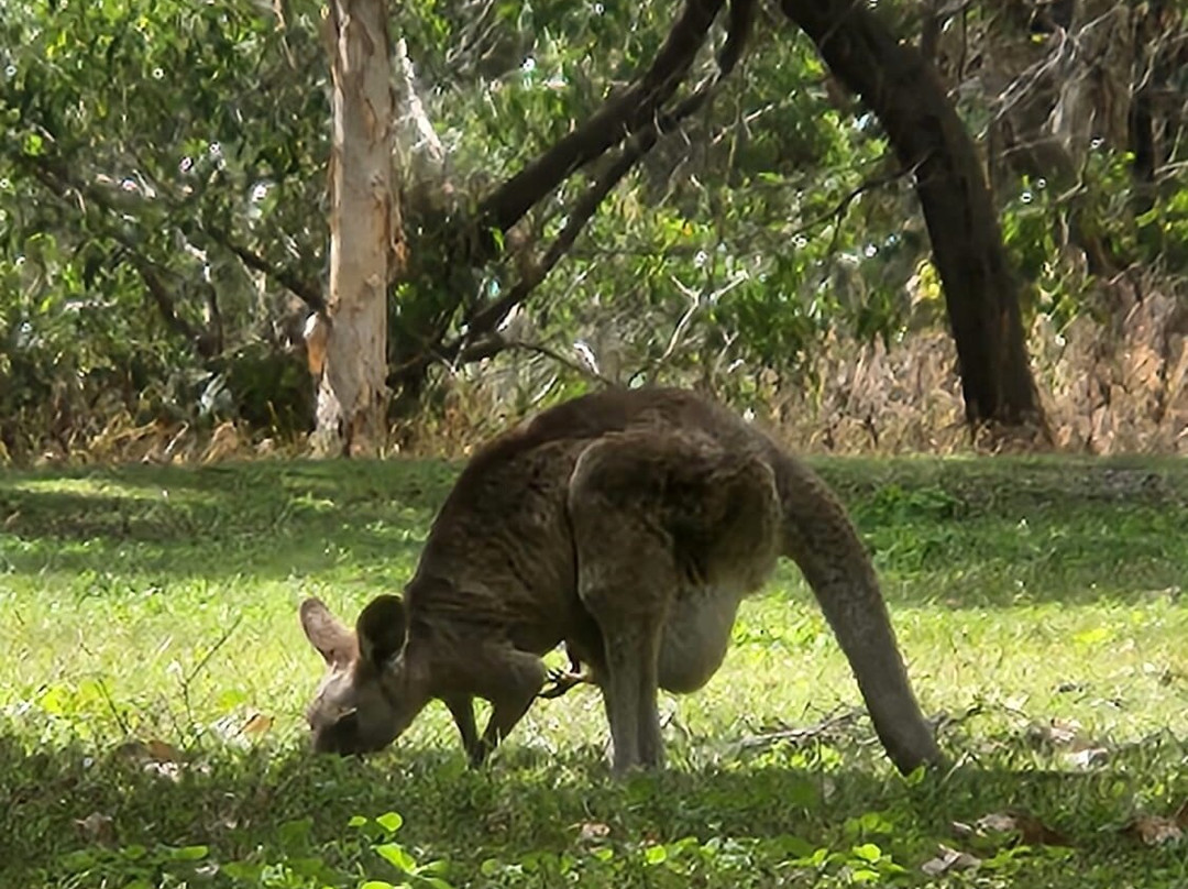 Coombabah Lakes Conservation Area-Coombabah必去景点