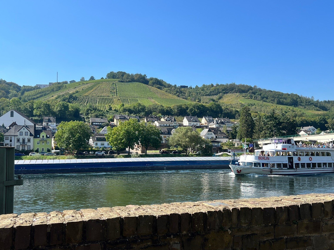 Ferienweingut Hallenbach主图