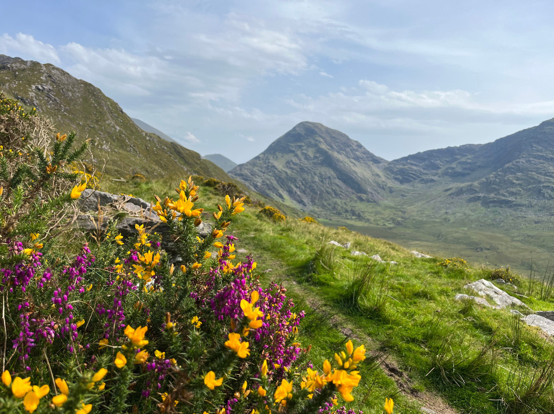 Celtic Nature Walking Tours-丁格尔必去景点