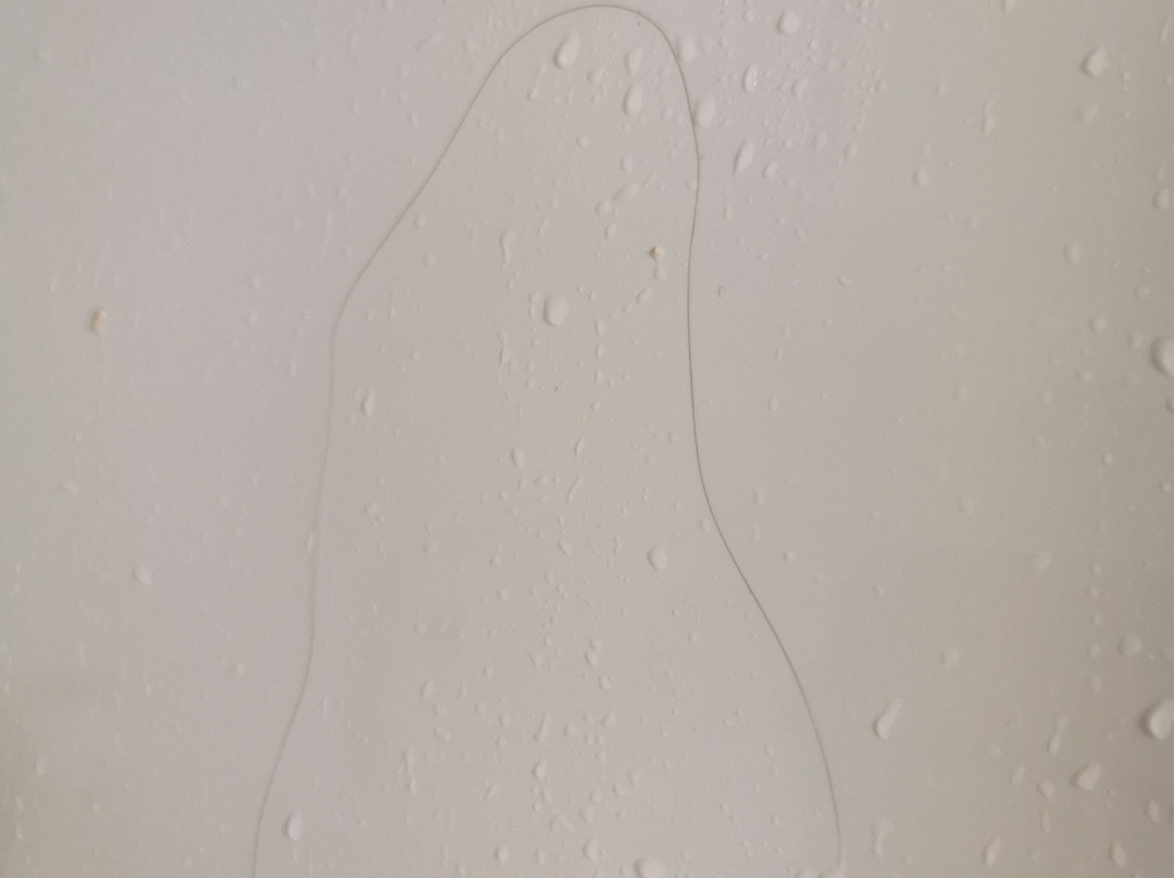 Comfort Inn & Suites主图