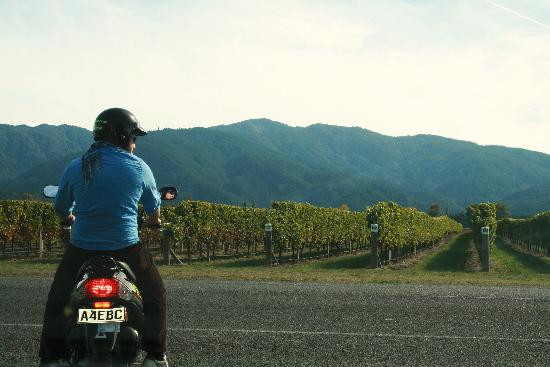 Book-a-Bike-布伦海姆必去景点