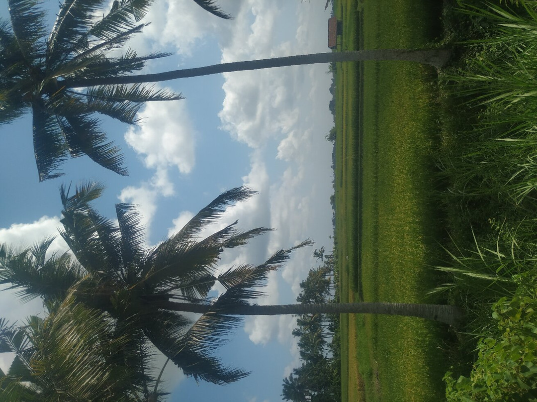 Bali Volcano Tours-登巴萨必去景点