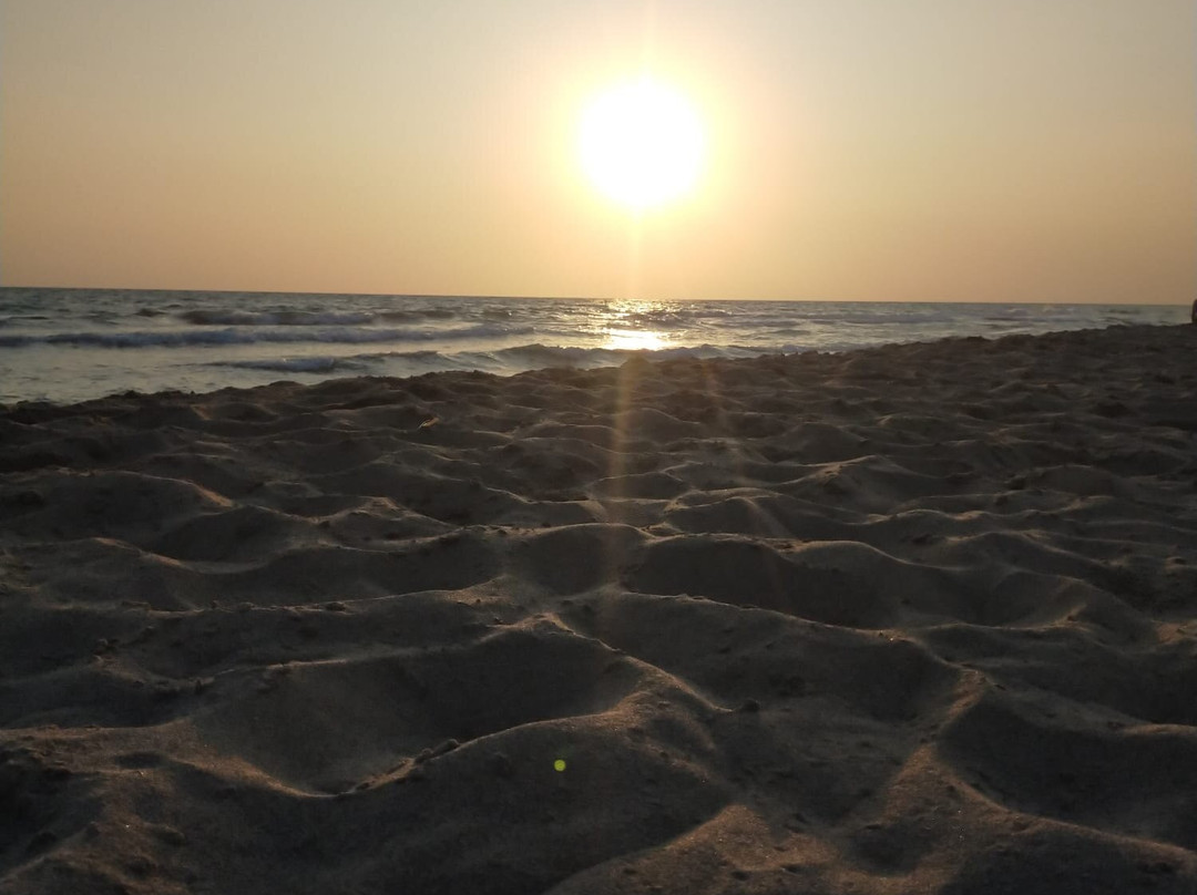 Patara Golden Pension主图