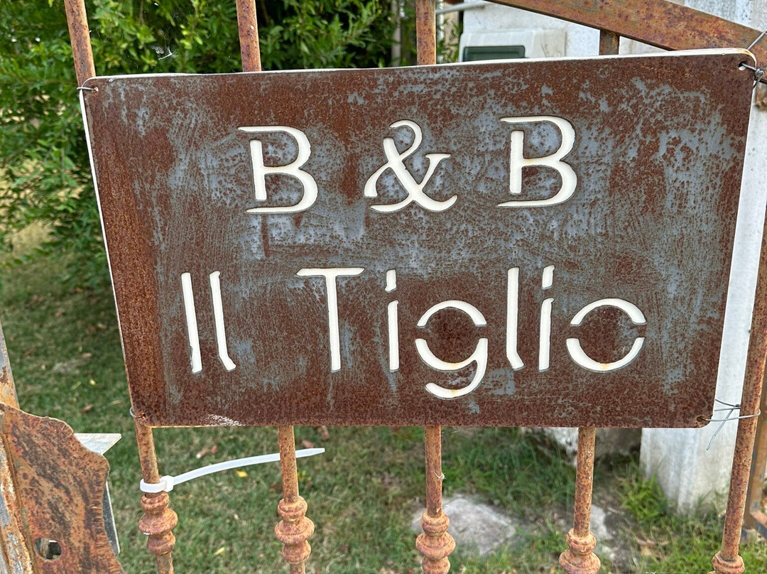 Il Tiglio B&B rural house主图