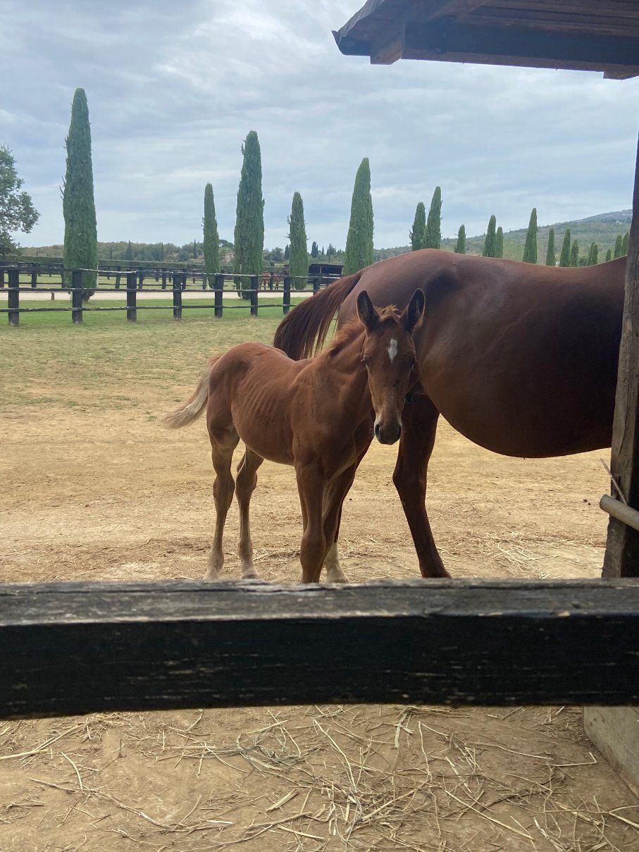 Il Borro Relais & Châteaux-浴室