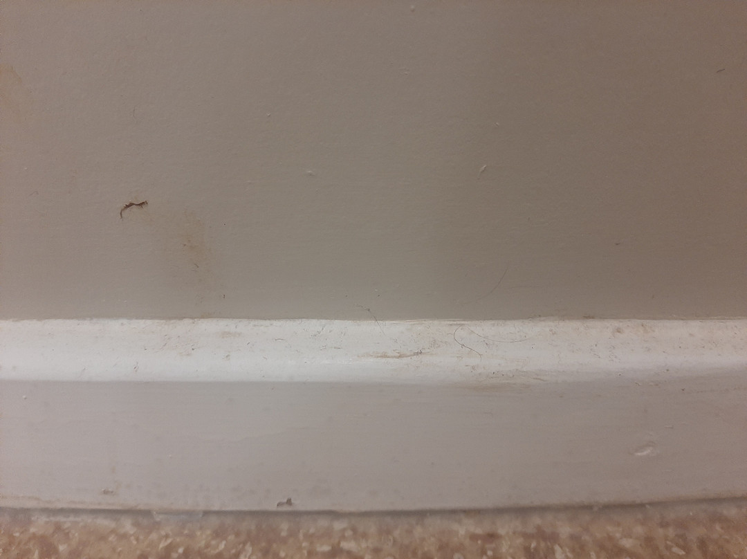 Premier Inn Luton (Airport) hotel主图