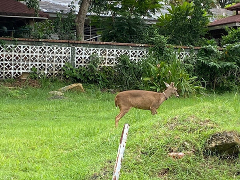 CONEXÃO PANAMÁ-巴拿马城必去景点