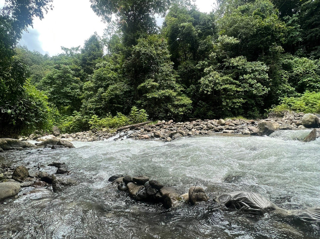 Ketambe Jungle Tour with Putra-Ketambe必去景点