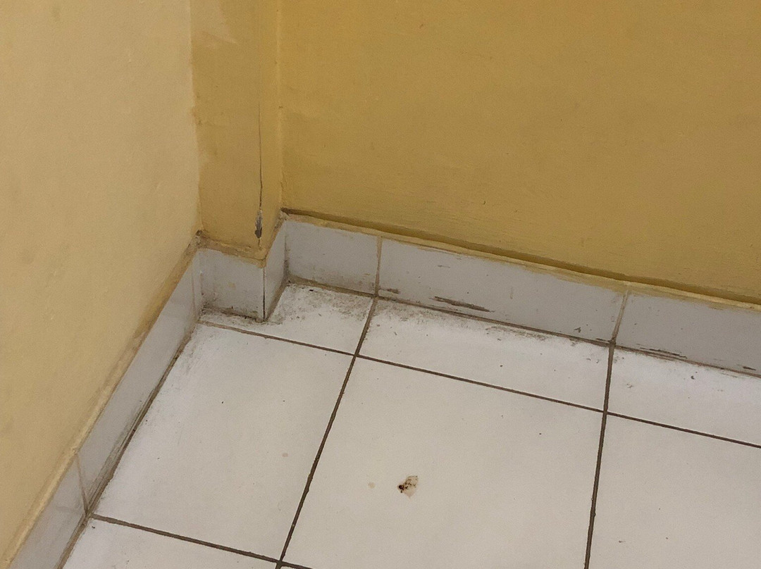 3096德维瓦尔西基酒店-近吉利马努克港