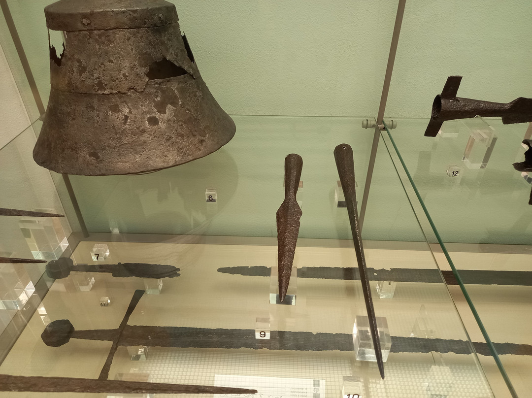 Museo della Fondazione Fioroni景点图片