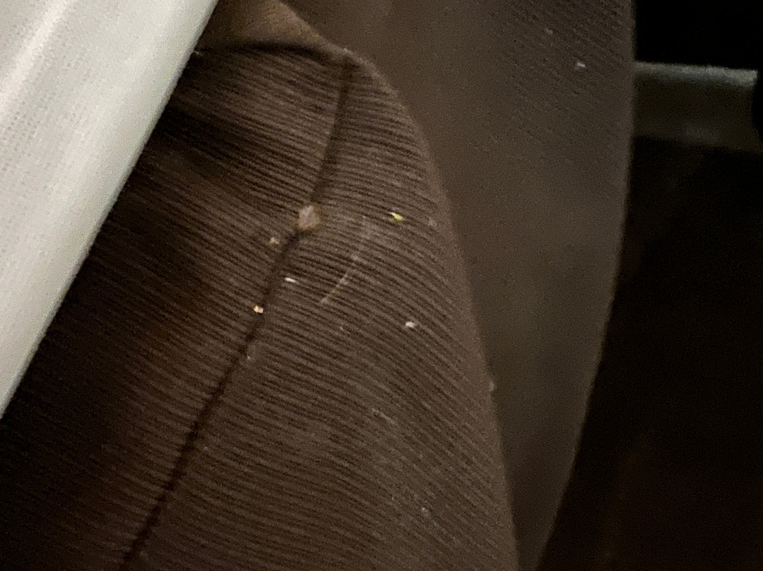 Red Roof Inn Buffalo Niagara Airport主图