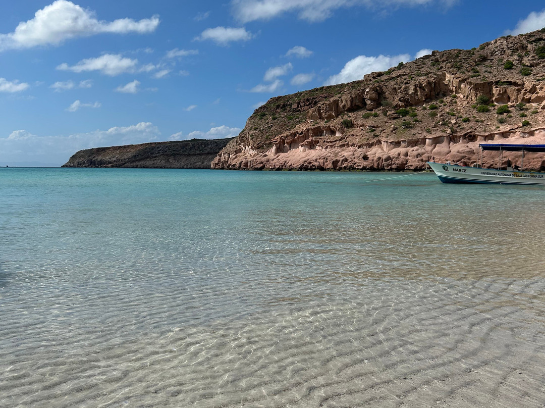 Xoc Baja Tours Cabo Pulmo-Cabo Pulmo必去景点