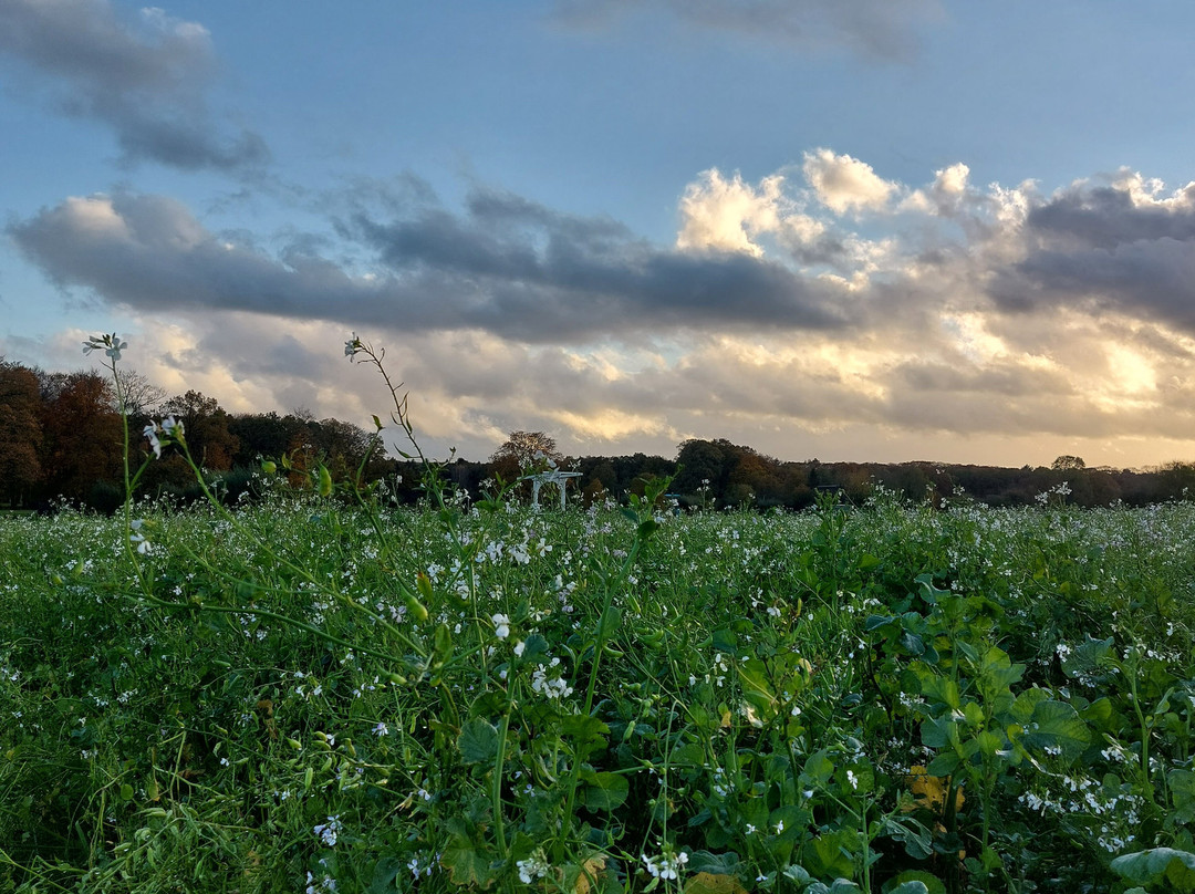 Hotel Landgoed Ehzerwold主图