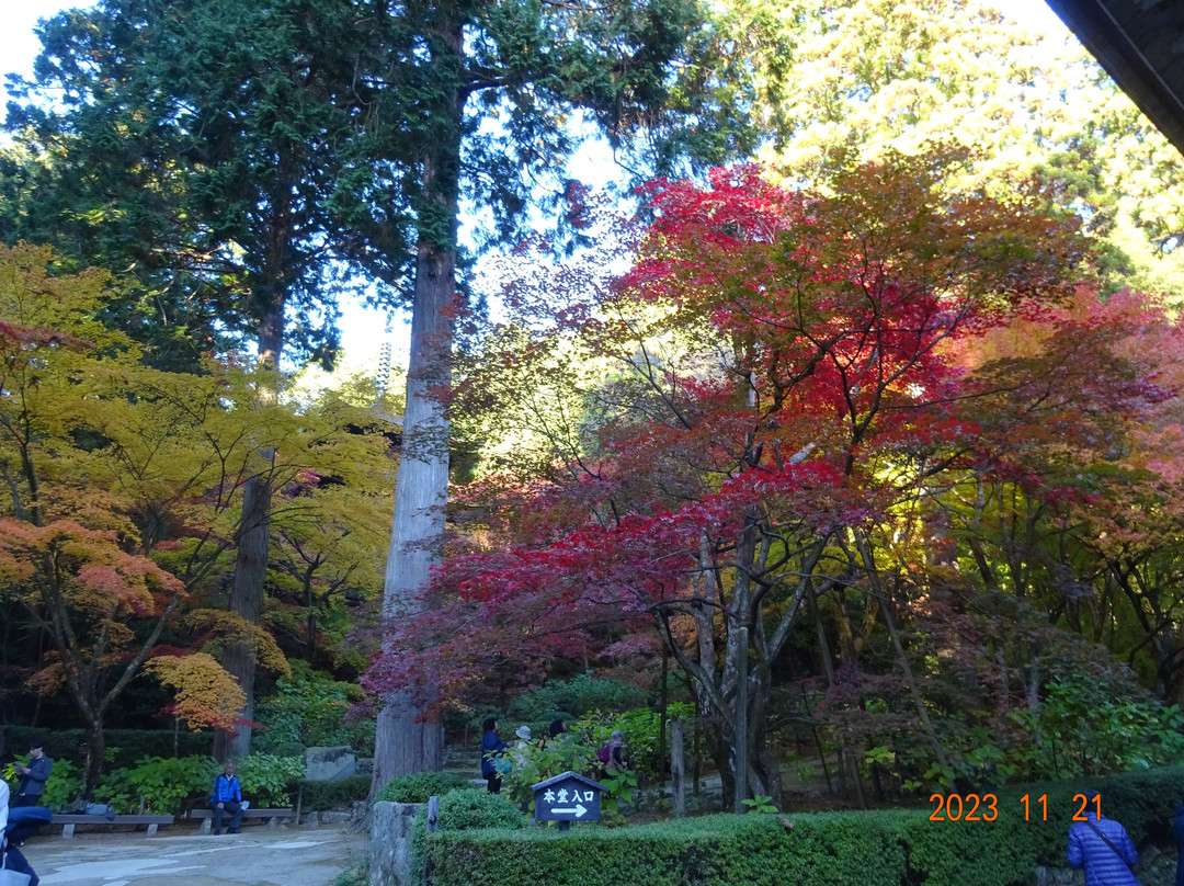 Kongorin-ji Temple-爱庄町必去景点