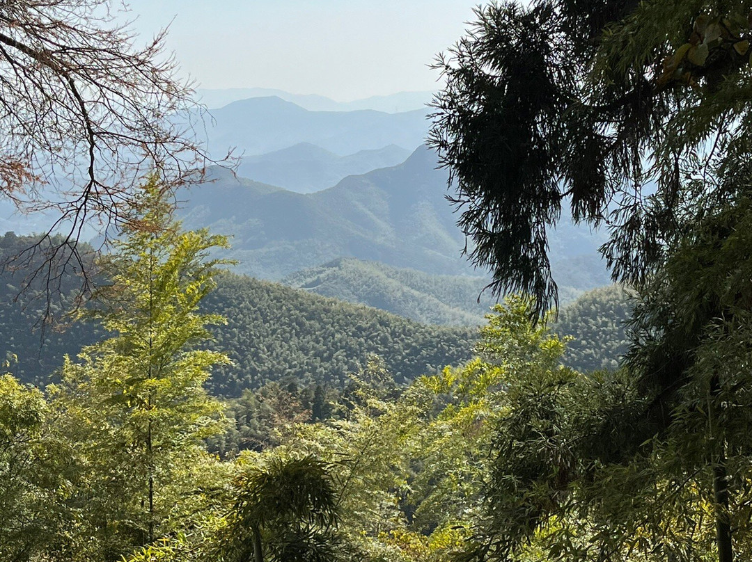 莫干山风景区景点图片